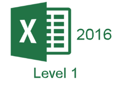 MS Excel 2016 Level 1