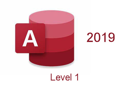 MS Access 2019 Level 1